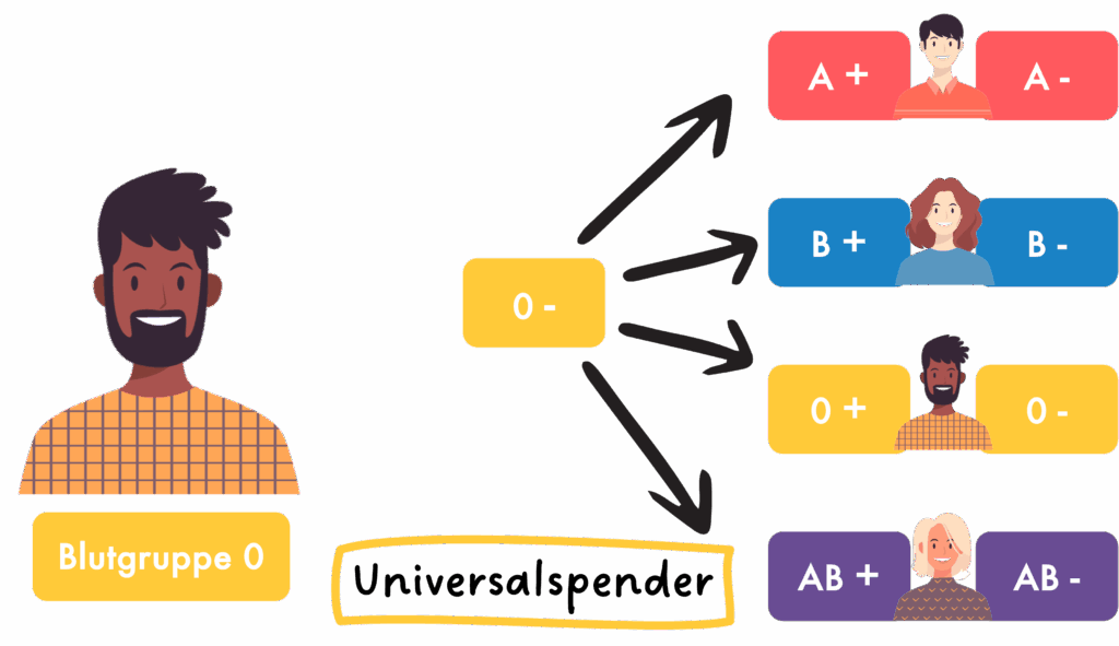 Blutgruppe 0 - Universalspender