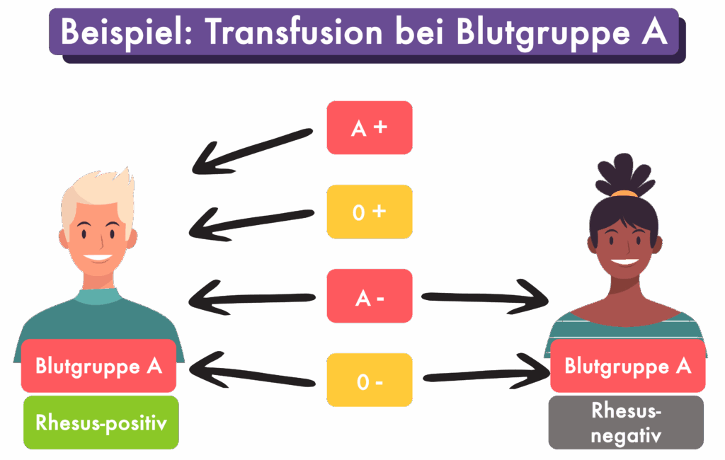 Beispiel Empfänger Blutgruppe A