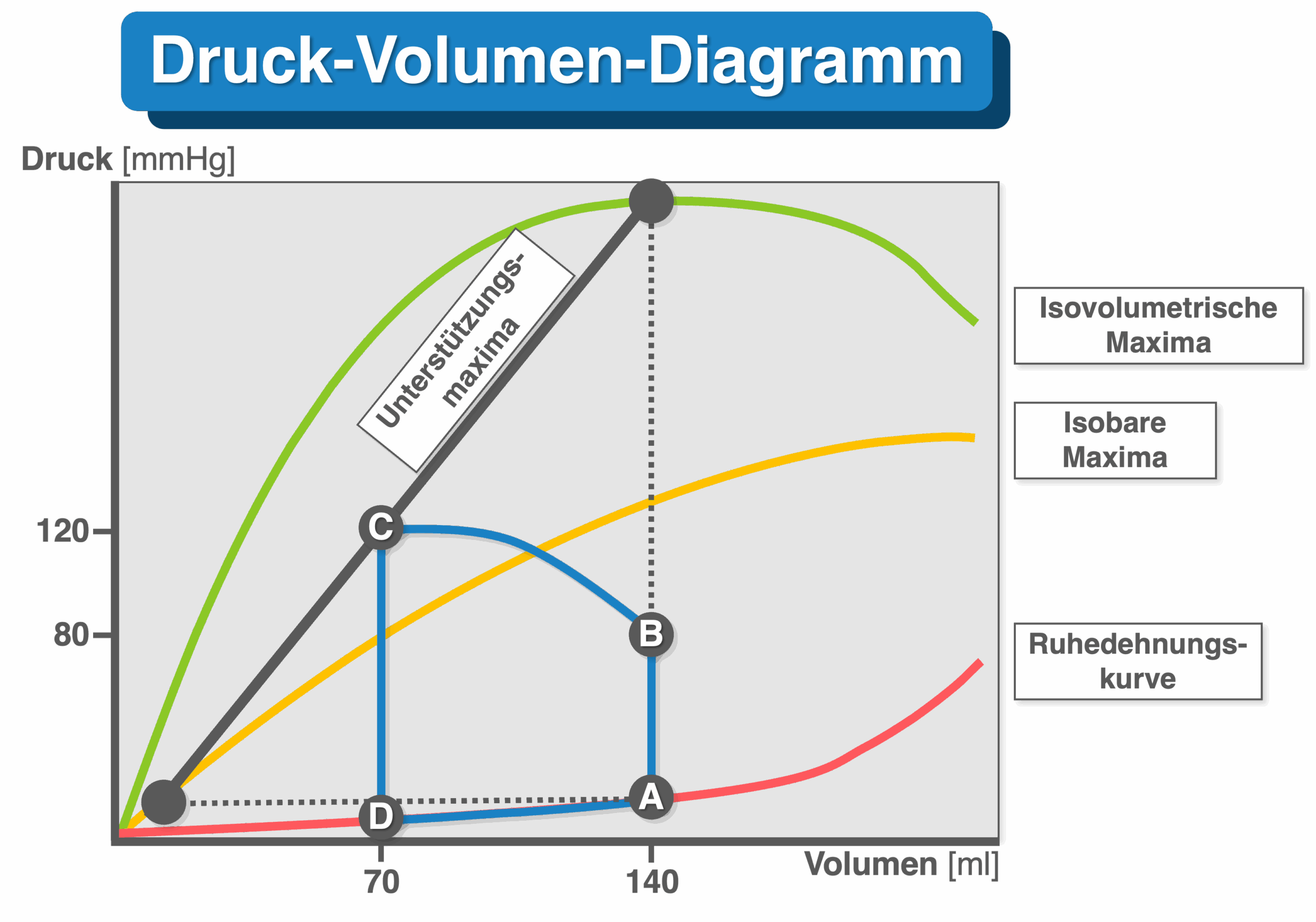 Druck-Volumen-Diagramm - Weitere Kurven