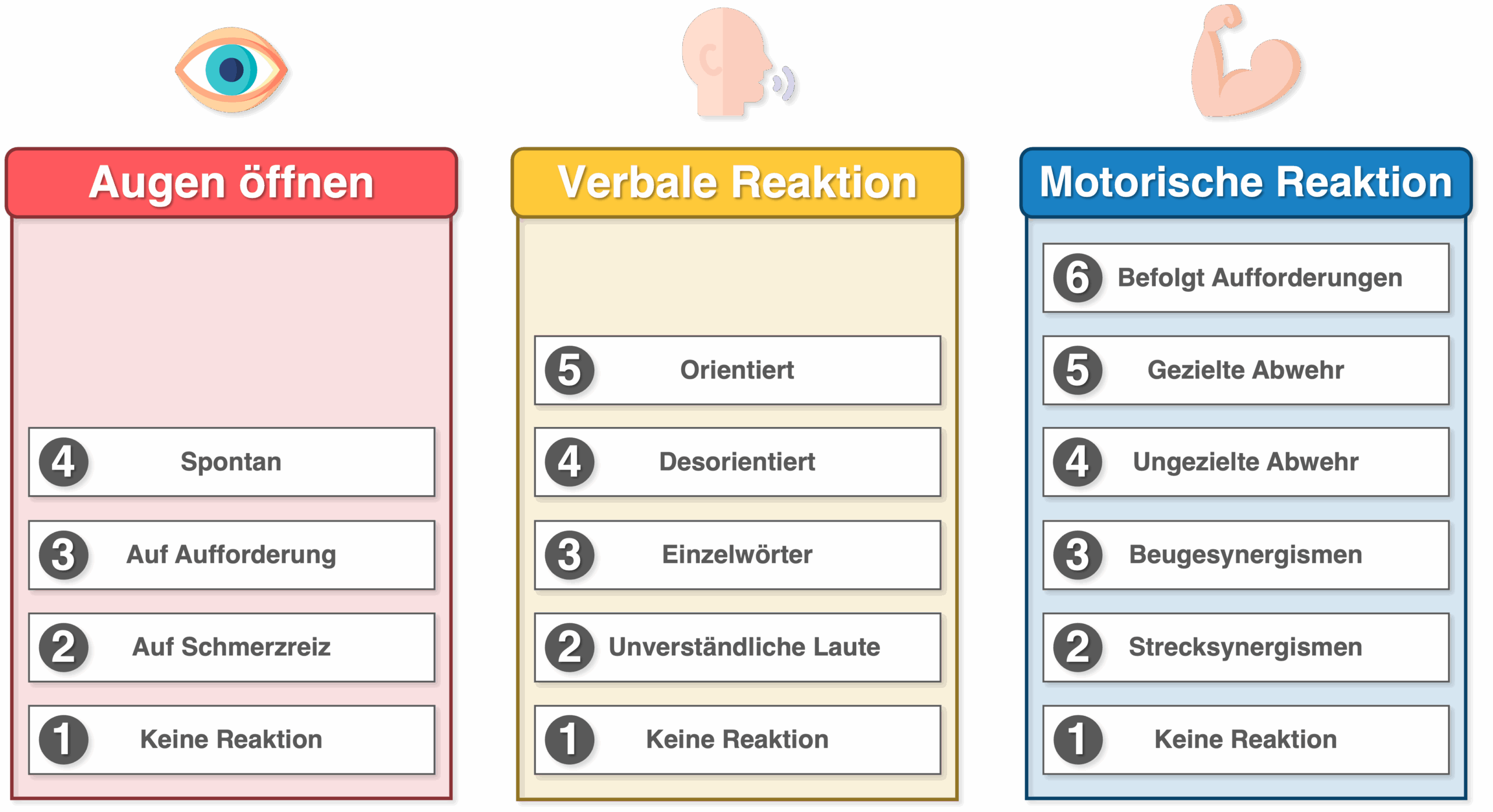 Glasgow Coma Scale (GCS) - Überblick