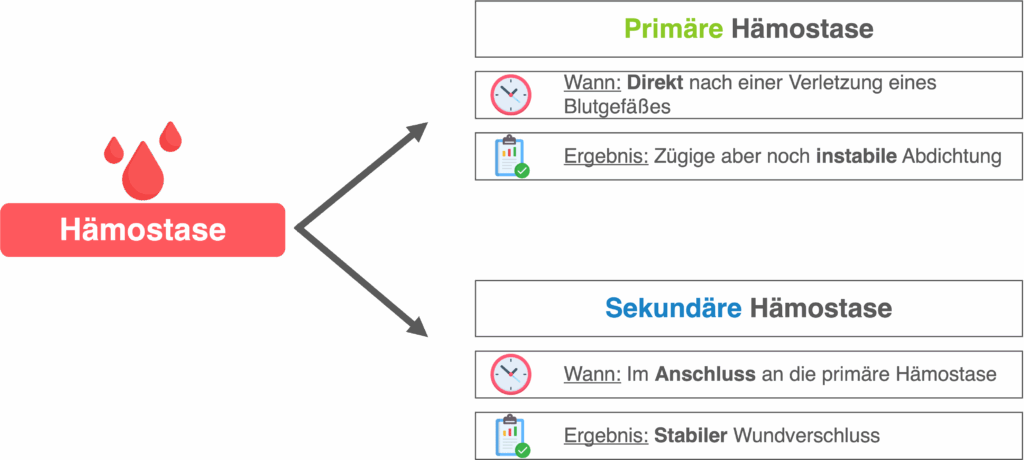 Hämostase - Überblick