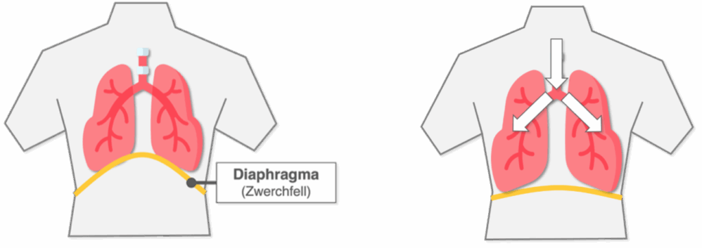 Inspiration - Schema
