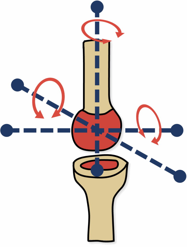 Kugelgelenk