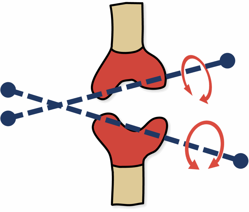 Sattelgelenk