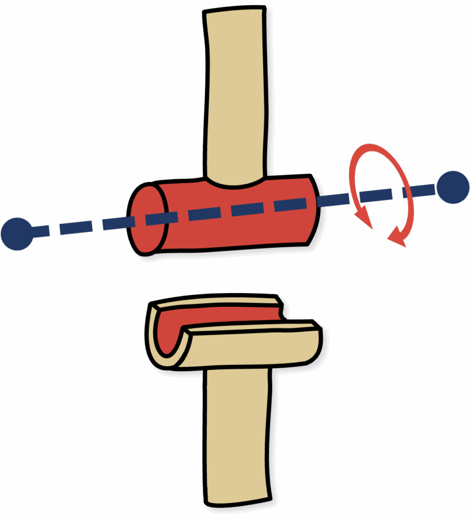Scharniergelenk