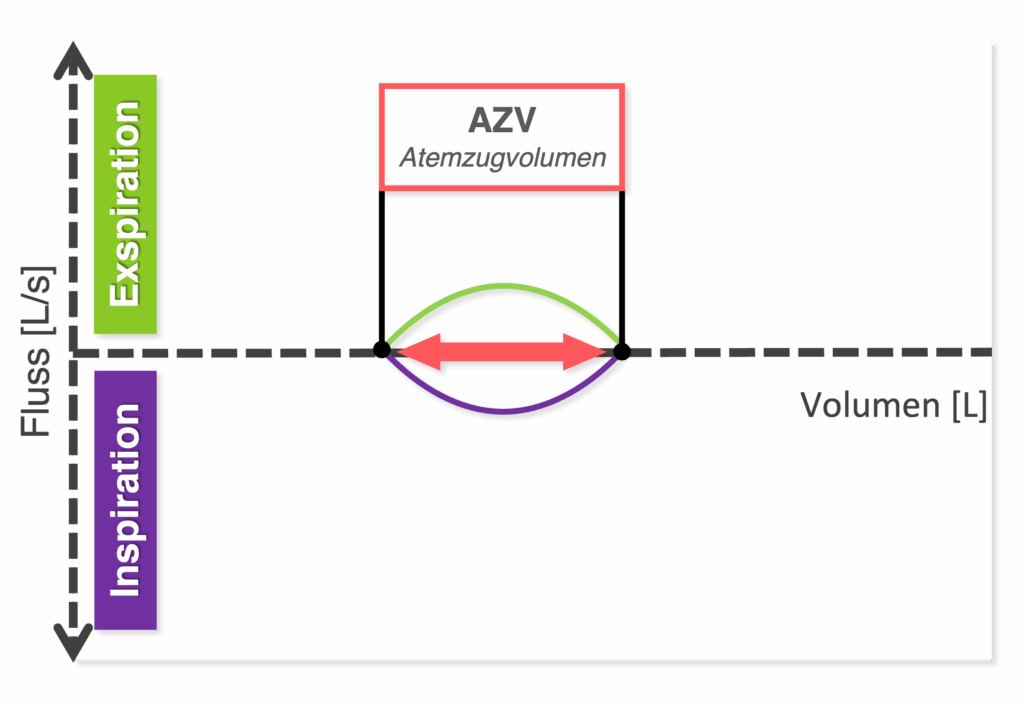 Fluss-Volumen-Kurve Schema - Atemzugvolumen (AZV)