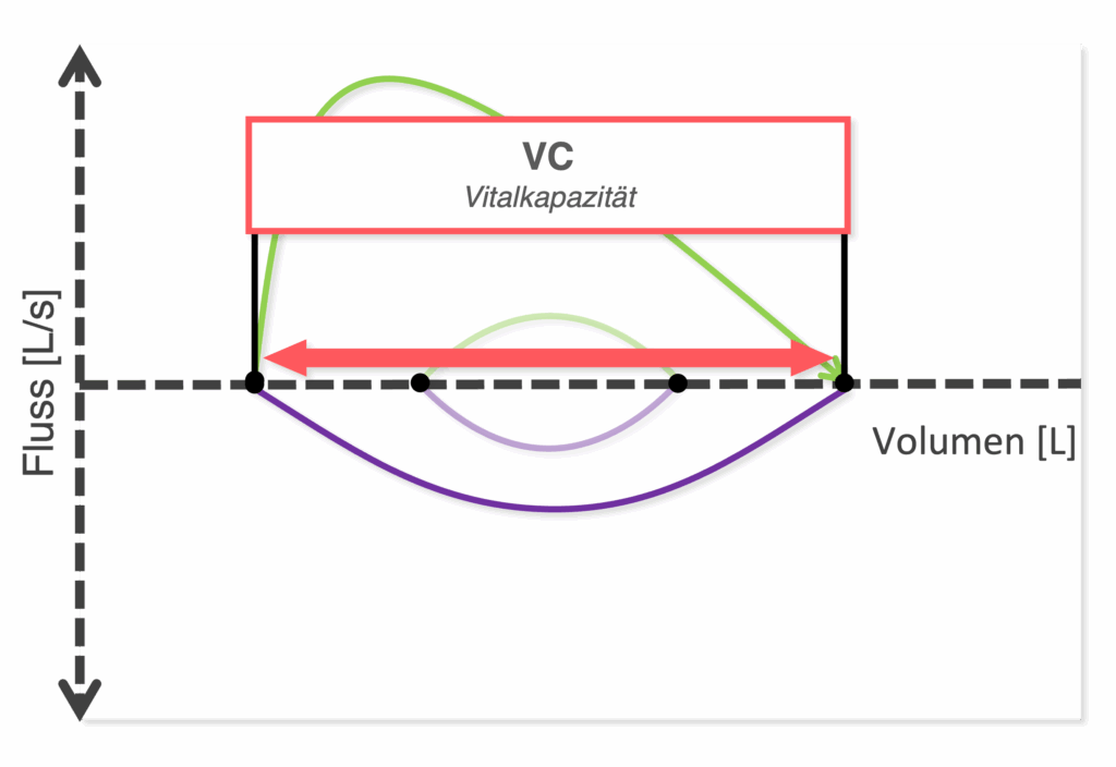 Fluss-Volumen-Kurve Schema - Vitalkapazität (VC)