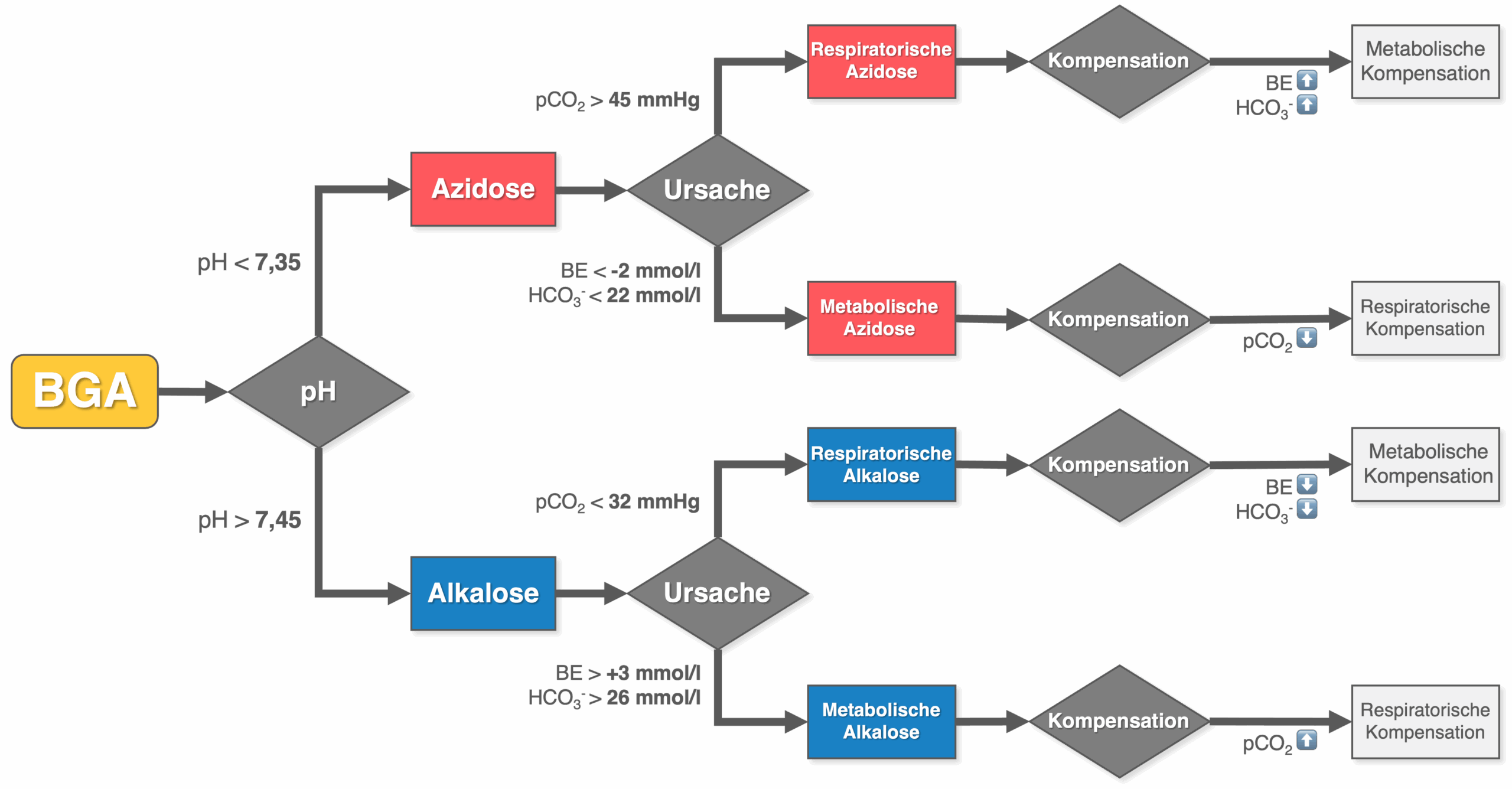 BGA - Flussdiagramm Auswertung