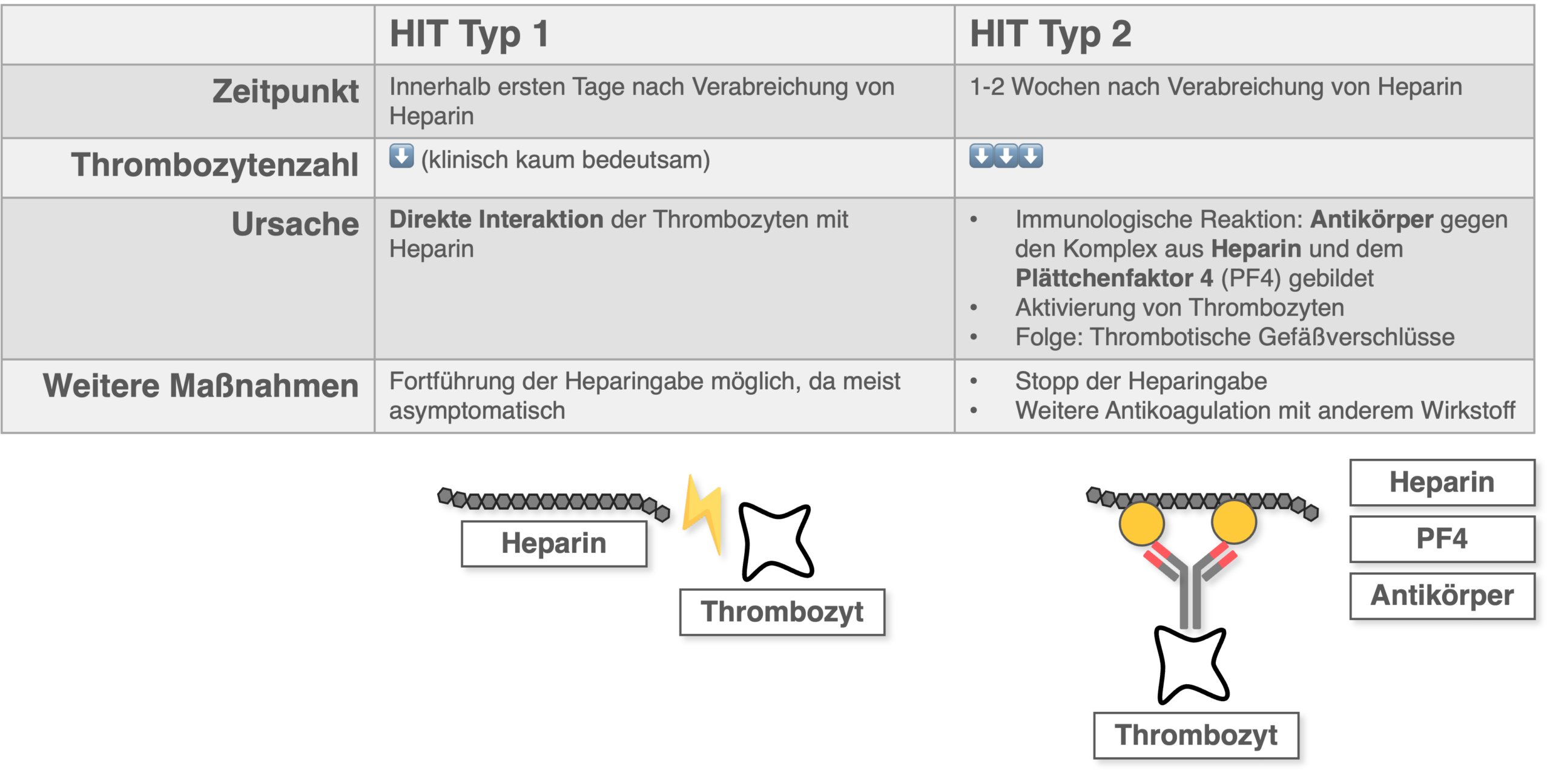 Heparin-induzierte Thrombozytopenie (HIT) - Übersicht