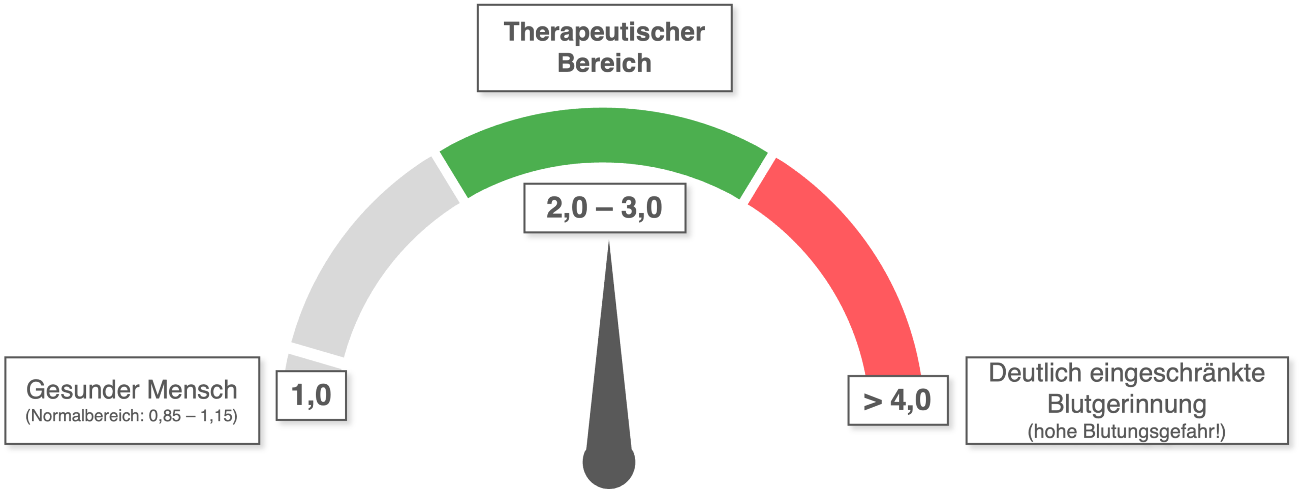 INR - Übersicht