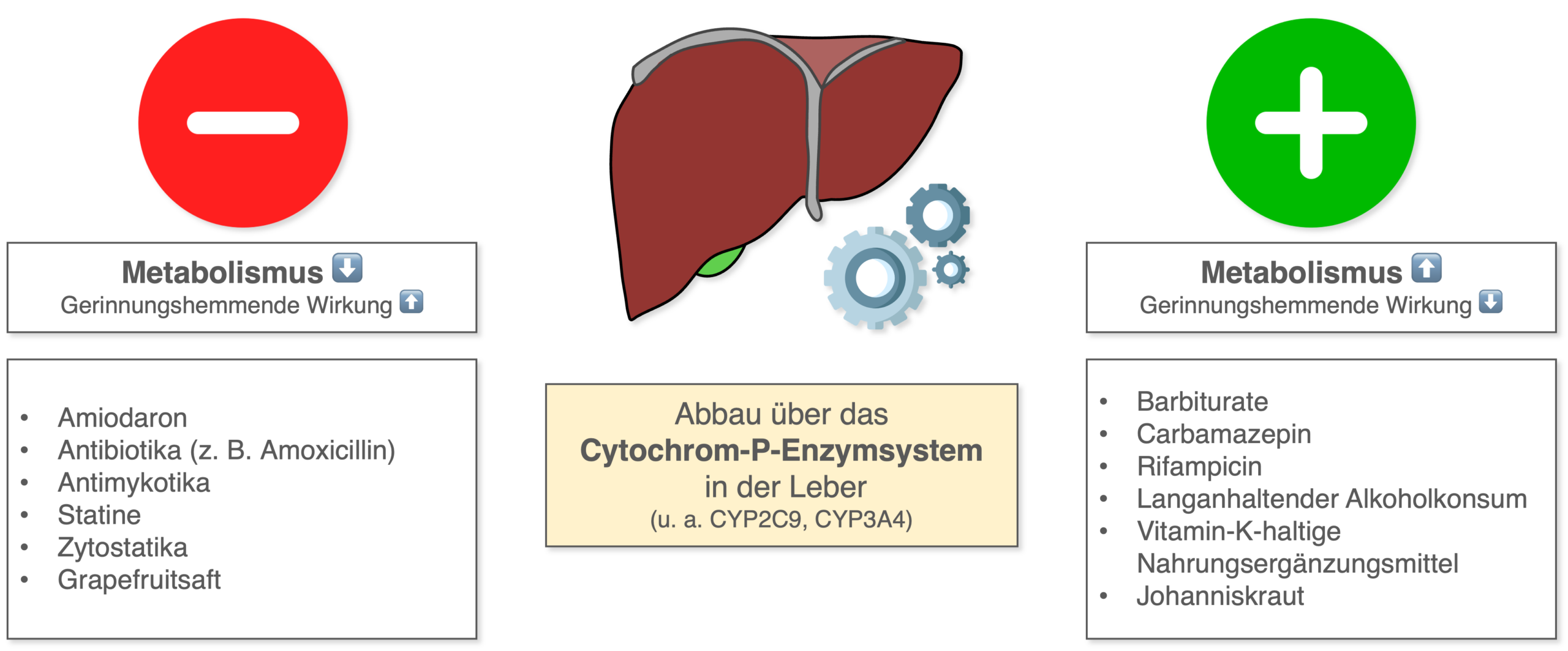 Vitamin-K-Antagonisten - Interaktionen Übersicht