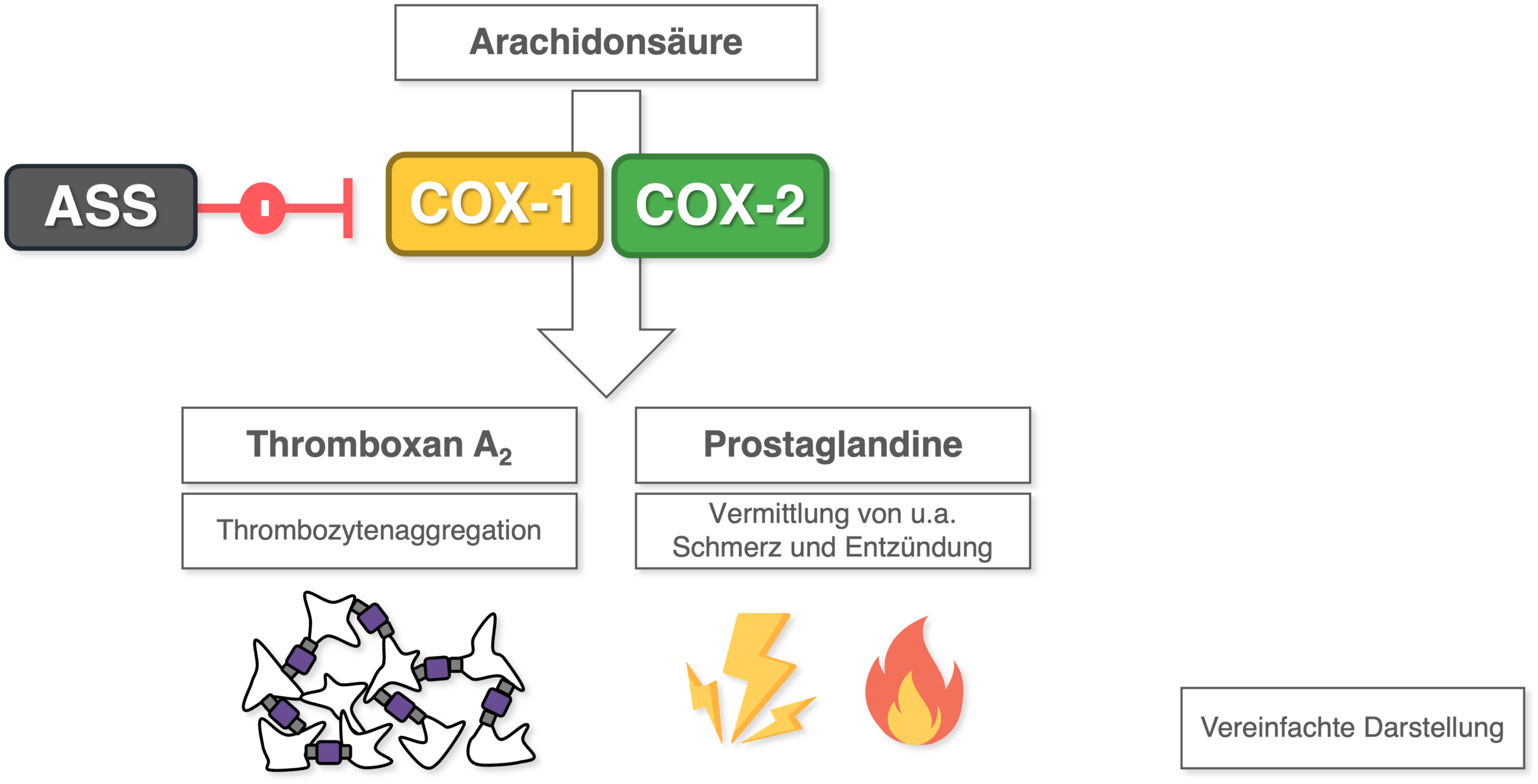 ASS - Wirkmechanismus