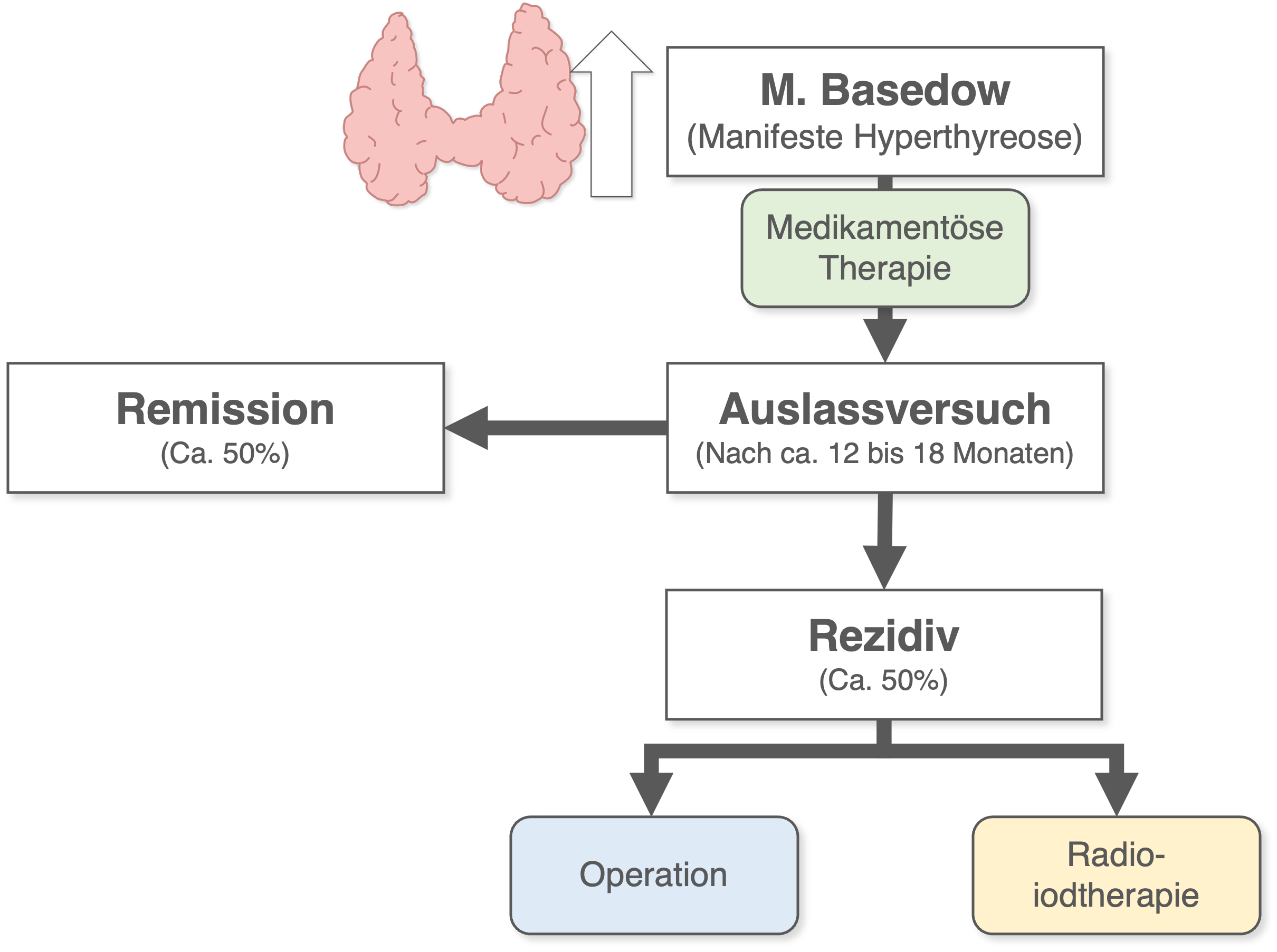 M. Basedow - Therapie